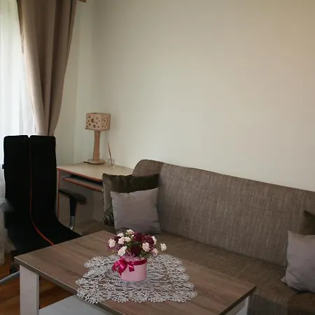 Cosy One Apartment